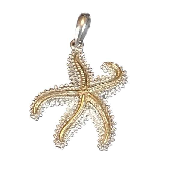 Dancing Starfish Pendant SS & 14k Gold - Picture 2 of 7